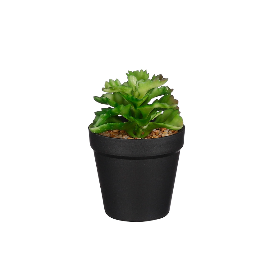 Artificial Succulent In Pot Green