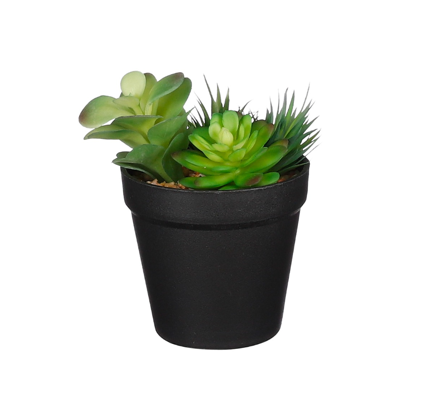 Artificial Succulent In Pot Green