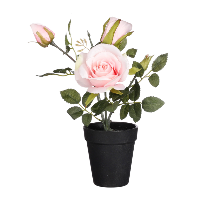 Artificial Rose In Pot - Pink