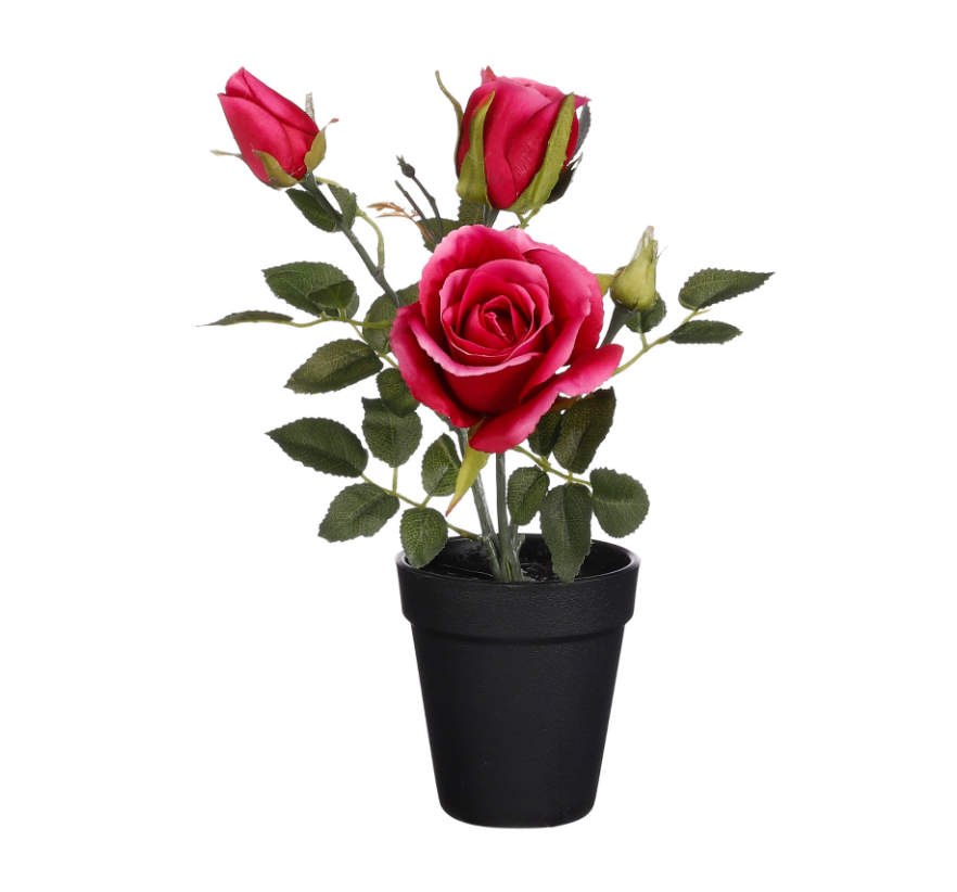 Artificial Rose In Pot - Dark Pink
