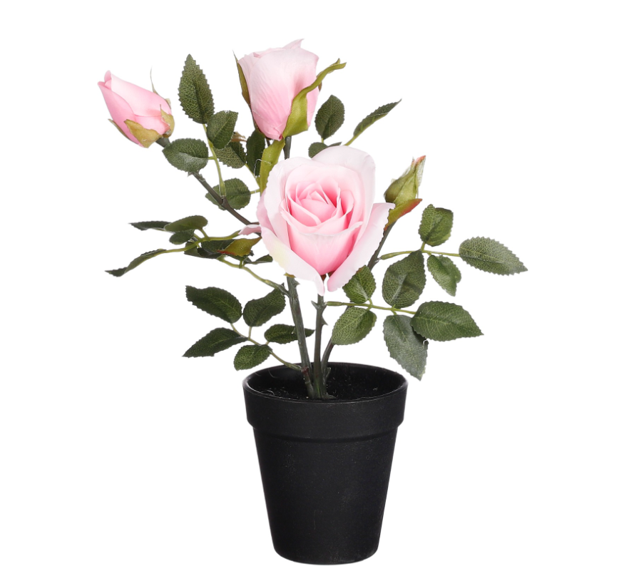 Artificial Rose In Pot - Peach