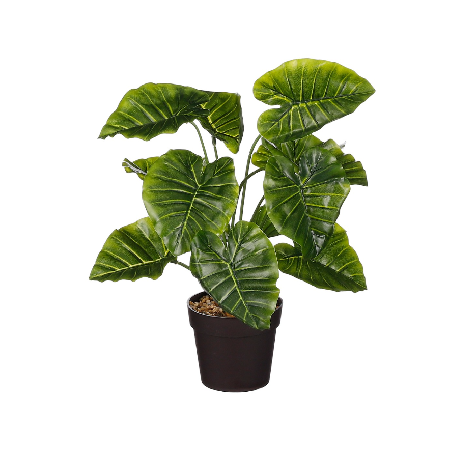 Alocasia Artificial Plant In Pot - Green