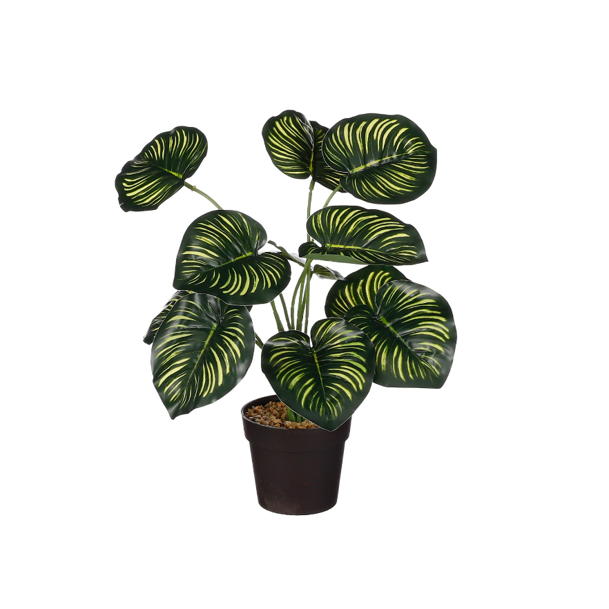 Calathea Artificial Plant In Pot - Green