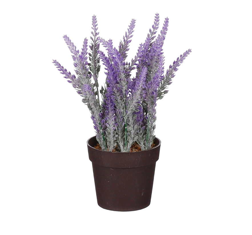 Artificial Lavender In Pot - Lavender