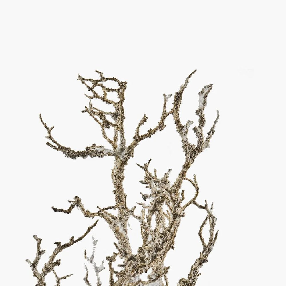 Outdoor Decorative Dried Tree 