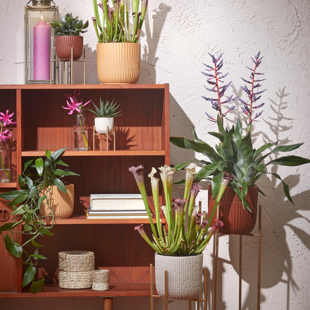 Sara Round Pot Planter - Off White Matt 