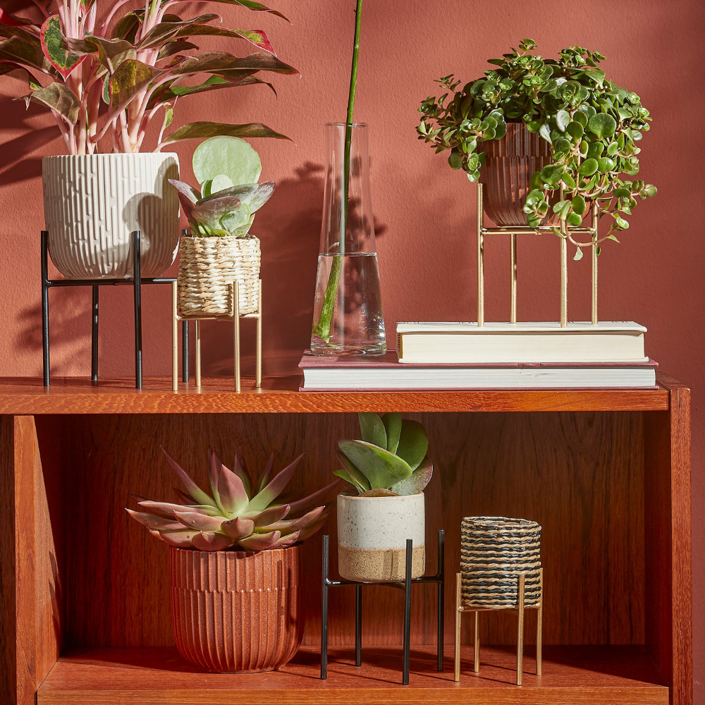 Sara Round Pot/ Planter - Brown Matt 