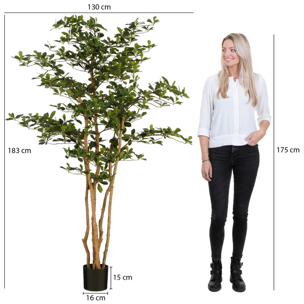 Oriental Artificial Olive Tree - Green