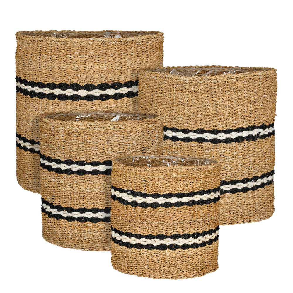 Dave Basket (XS) 