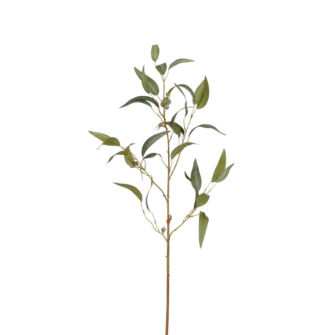 Eucalyptus Green 