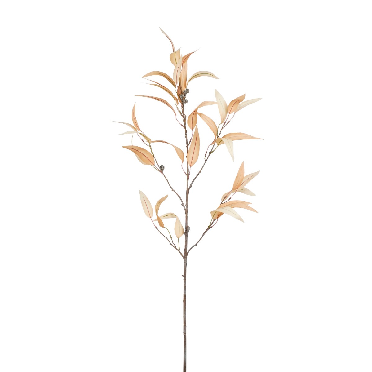 Eucalyptus - Light Brown