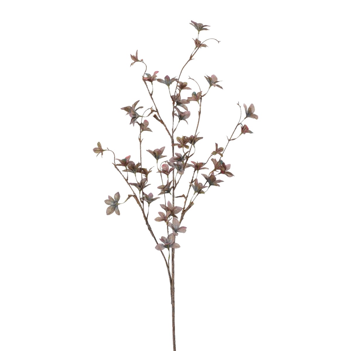 Pittosporum Branch - Purple