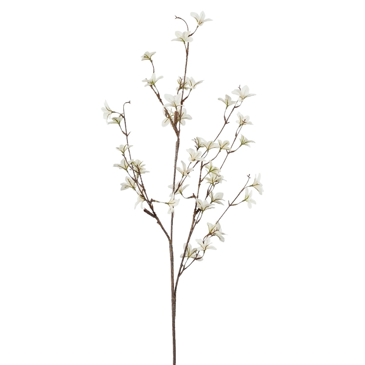 Pittosporum Branch - White 