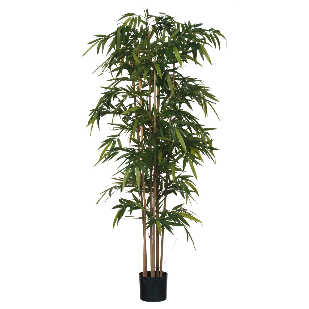 Ficus Artificial Green Variegated Plant In Plastic Pot 