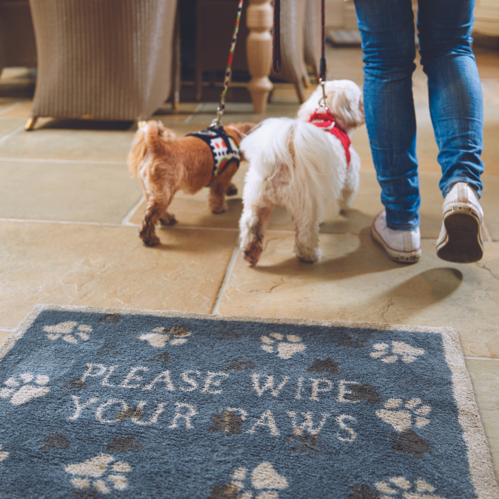 Hug Door Rug Pet 10 - Blue