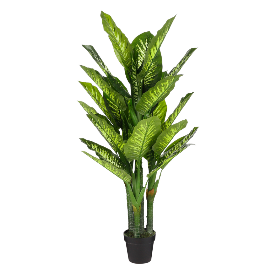Dieffenbachia Artificial Plant in Pot - Green