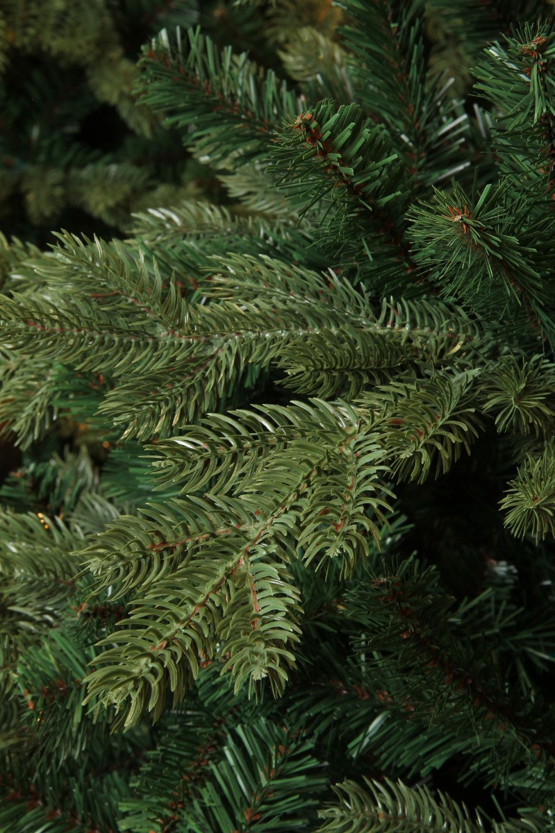 Bristlecone Christmas Tree Tips 916 Green