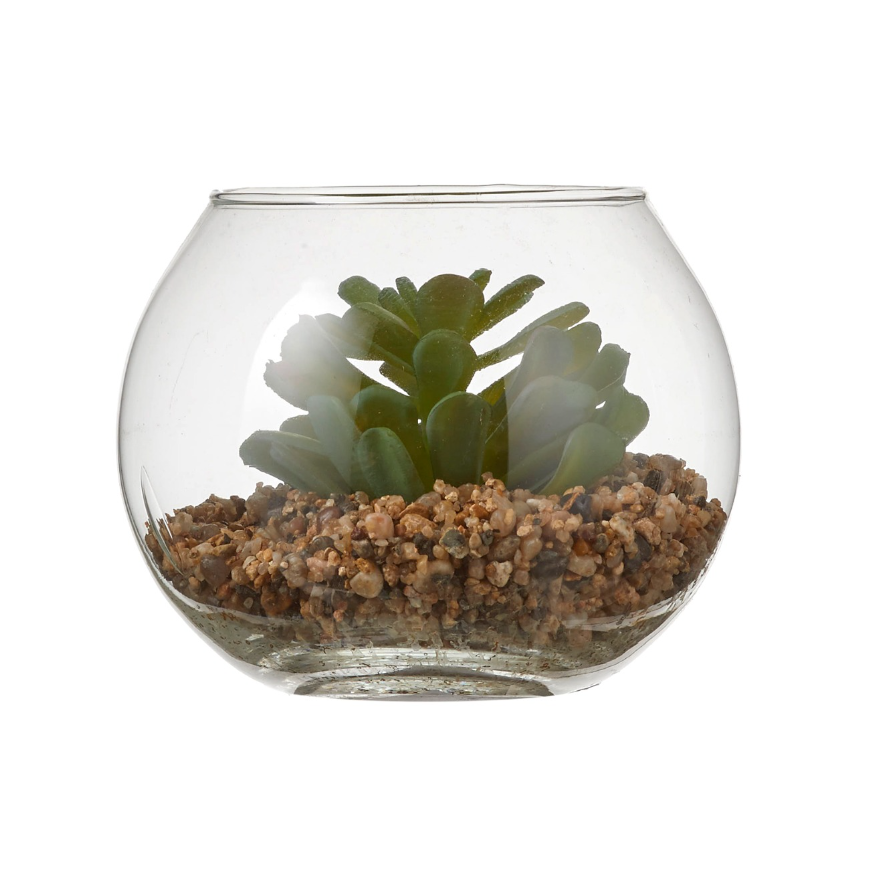 Succulent In Glass - Green