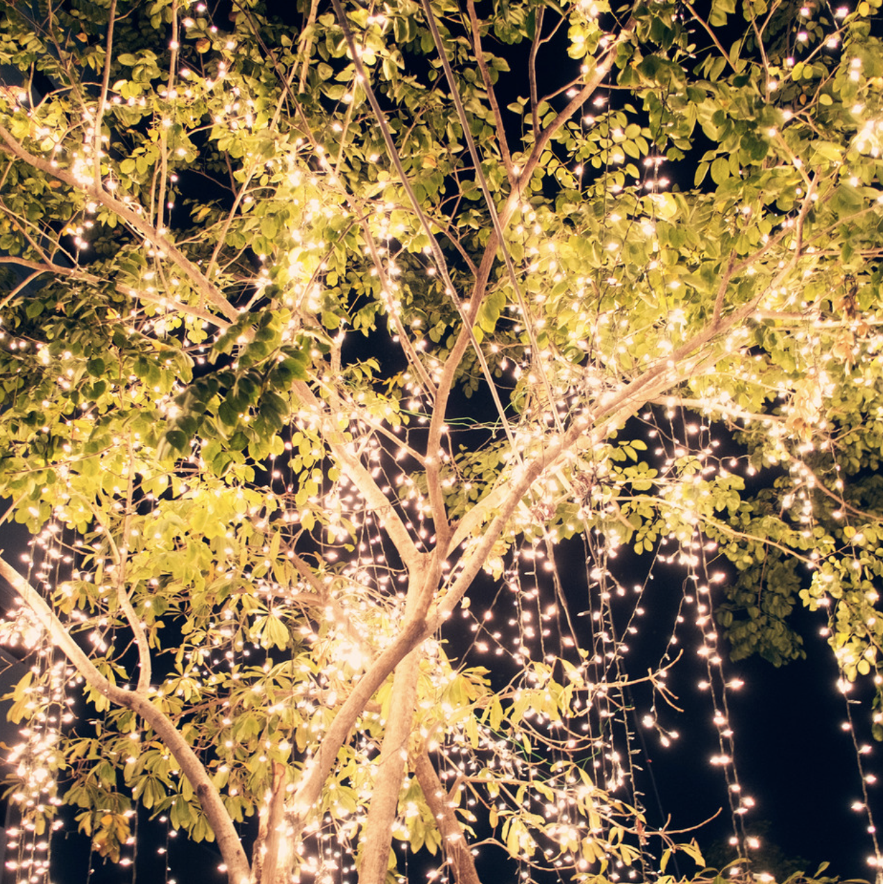 Make your Outdoors Gram-worthy with Suncoast